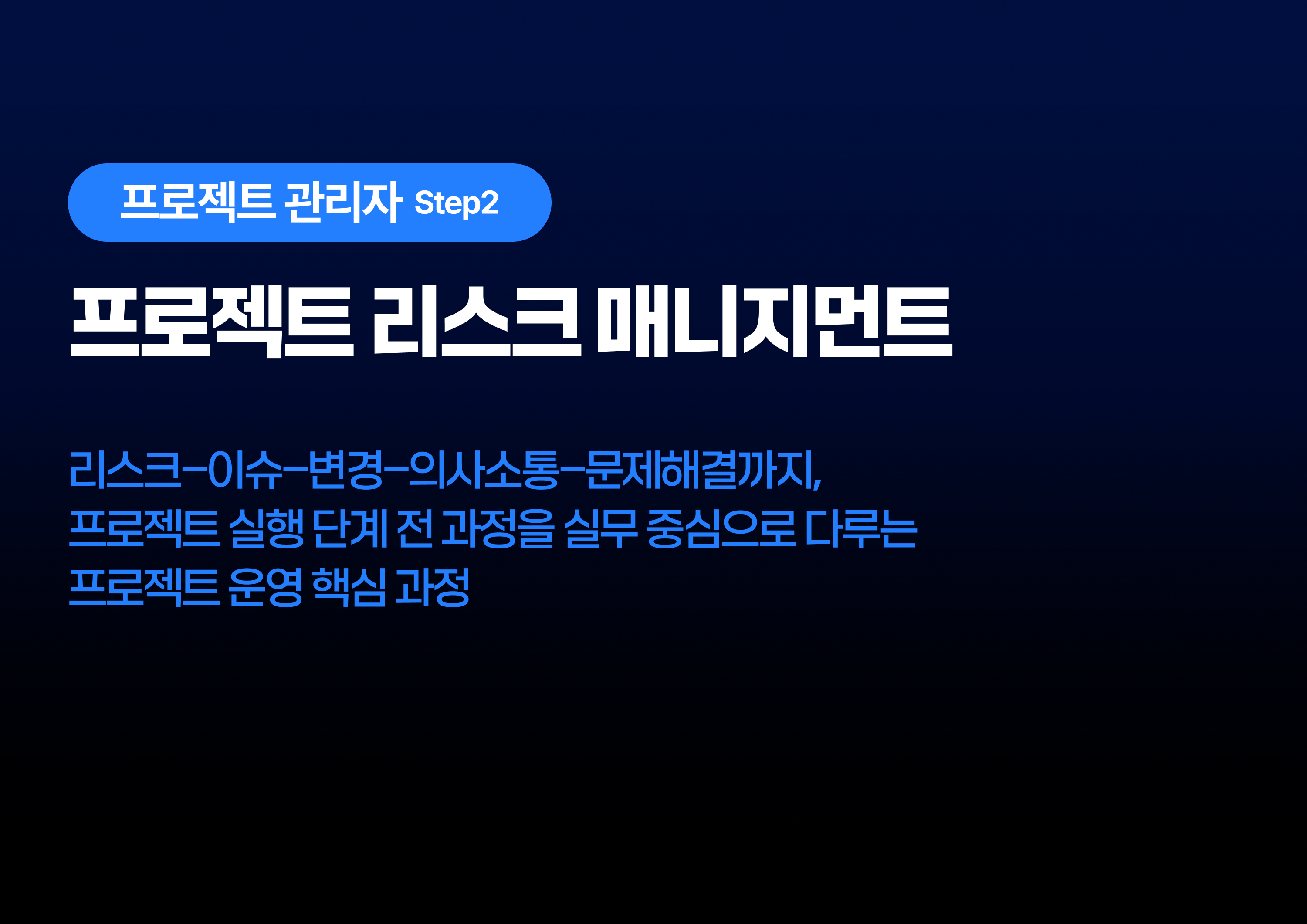 프로젝트 리스크 매니지먼트